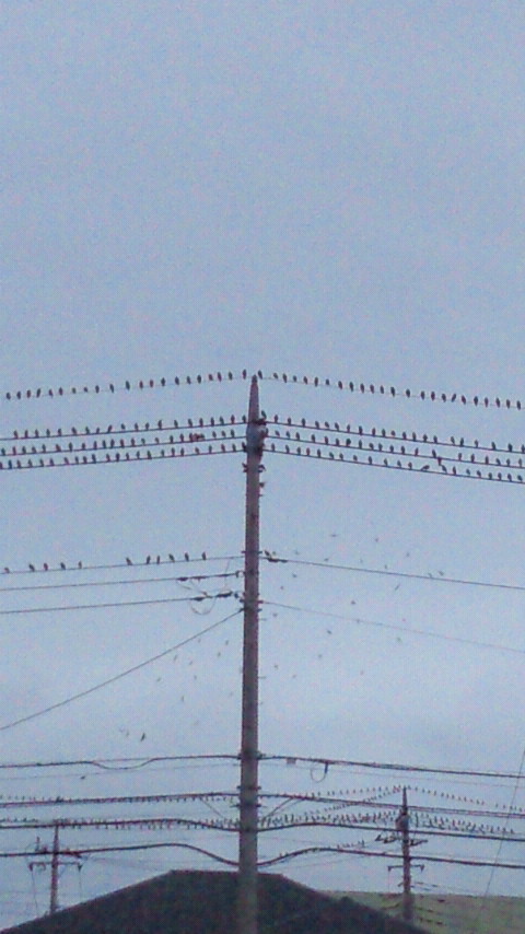 2011082018240000.jpg 2011082018240000.jpg